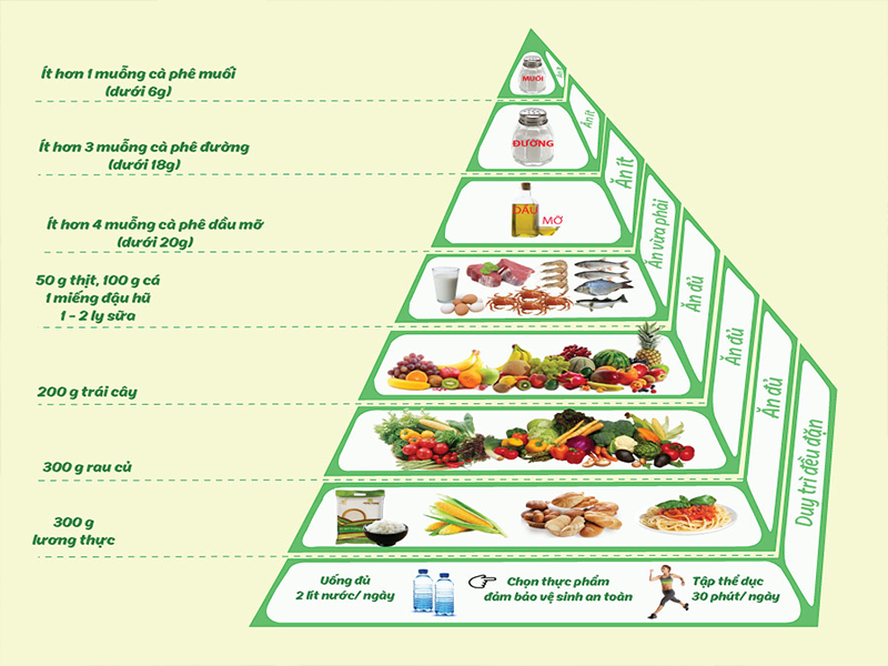 hình ảnh tháp dinh dưỡng phần ăn công nghiệp 